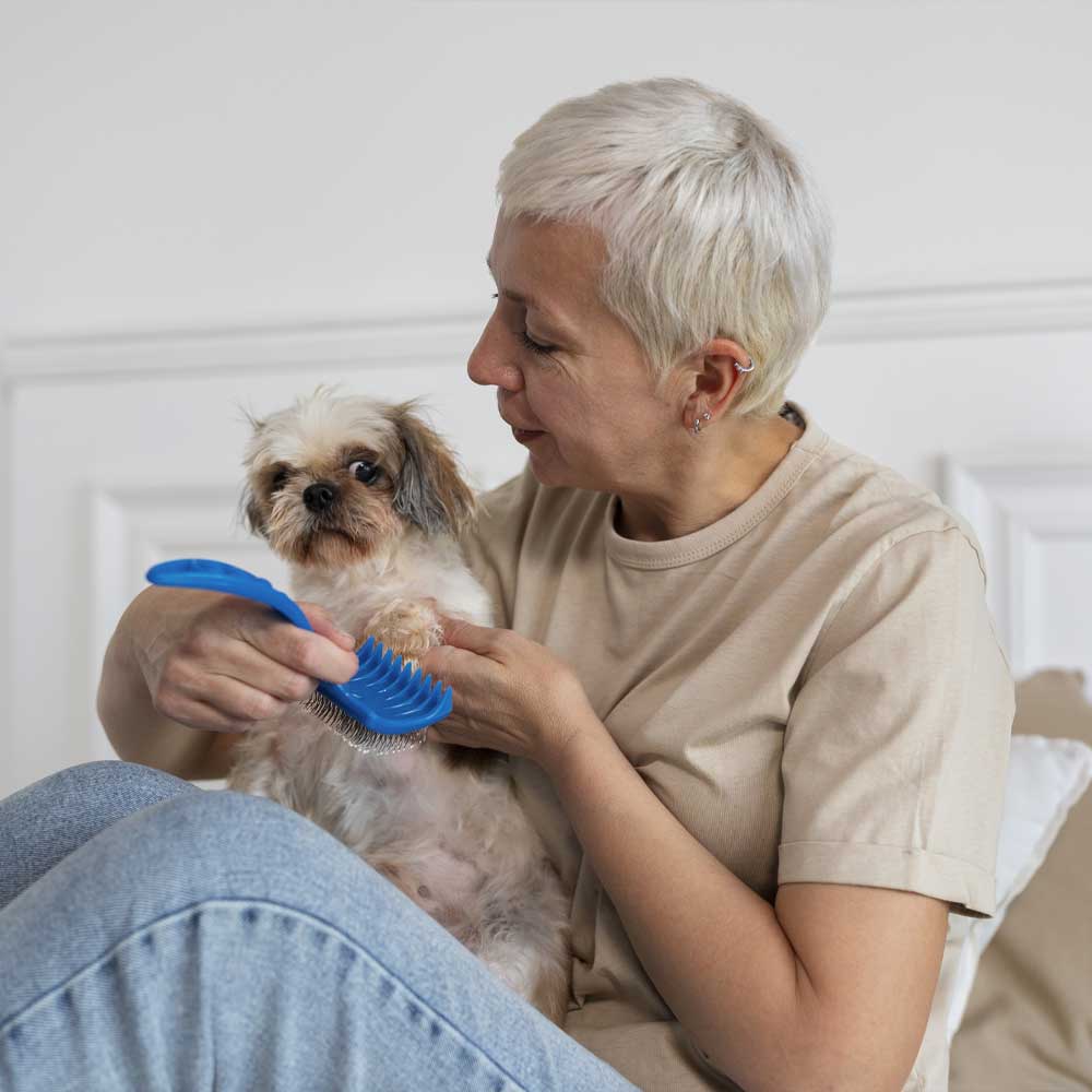 Quelle race de chien pour un senior ?